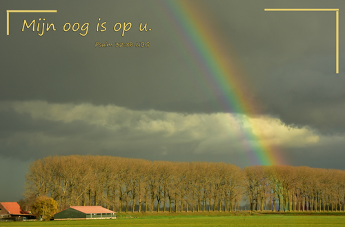 Klik voor een vergroting!